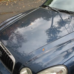 IMG_2040_resize