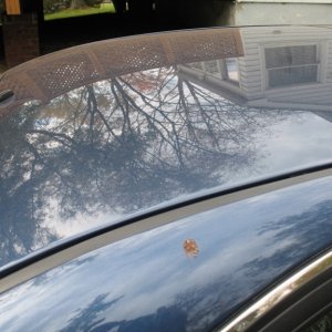IMG_2042_resize