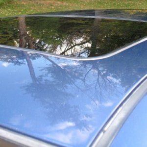 IMG_2043_resize