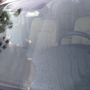 IMAG2820_5_