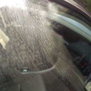 IMAG2804