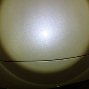 10333423_899544526766176_8678319617775716790_o