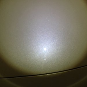 906045_899544506766178_8289774639613709062_o