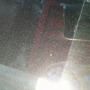 12359821_1727393650827530_2344653307760062300_n