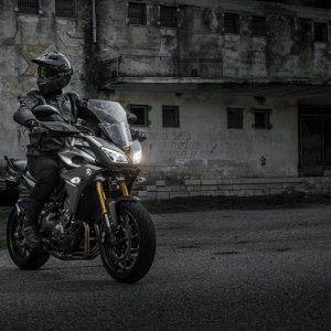 mt9