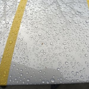 303 Speed Detailer