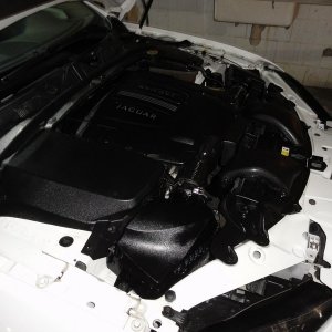 DSC03351-wr1