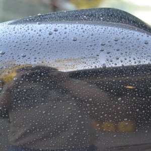476S_Mirror