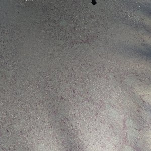 IMAG3276