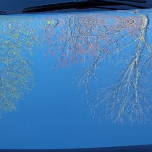 Reflections