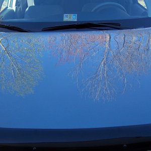 Reflections