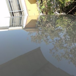DSC04856-wr1