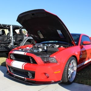 IMG_5495