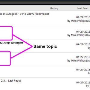 Double Posting on a discussion forum