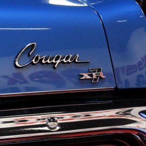 Detailing Cars Training with Mike Phillips at Autogeek