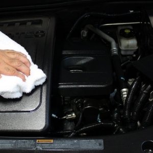 Cosmetic Engine Deailing by Mike Phillips at Autogeek