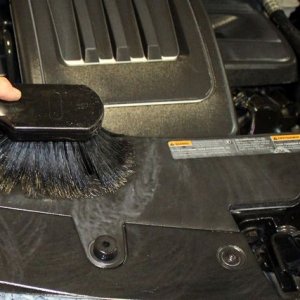 Cosmetic Engine Deailing by Mike Phillips at Autogeek