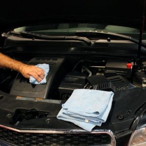 Cosmetic Engine Deailing by Mike Phillips at Autogeek