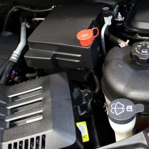 Cosmetic Engine Deailing by Mike Phillips at Autogeek