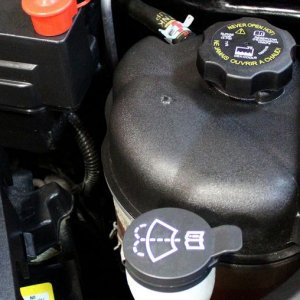 Cosmetic Engine Deailing by Mike Phillips at Autogeek