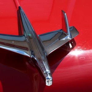 $15,000.00 Custom Paint Job - How to remove water spots
