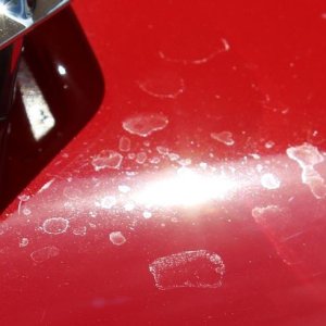 $15,000.00 Custom Paint Job - How to remove water spots