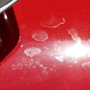 $15,000.00 Custom Paint Job - How to remove water spots