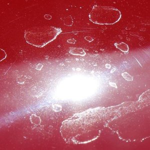 $15,000.00 Custom Paint Job - How to remove water spots