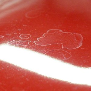 $15,000.00 Custom Paint Job - How to remove water spots
