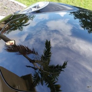 Porsche 911 Paint Correction Ceramic Coating West Palm Beach