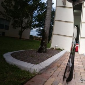 Porsche 911 Paint Correction Ceramic Coating West Palm Beach
