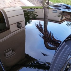 Porsche 911 Paint Correction Ceramic Coating West Palm Beach