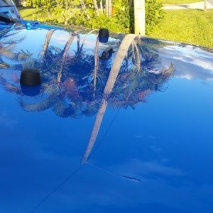 tn_20160229_172046