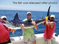 Bill fish fishing.-marlin-jpg