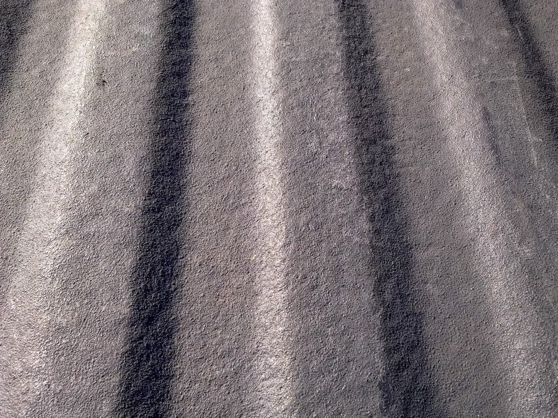 02192010084