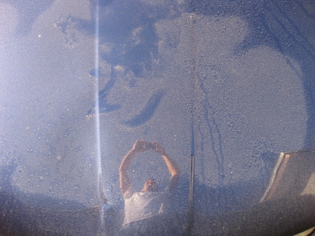 03_Before_Wash