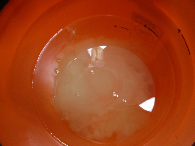 06_-_Solution_In_Water