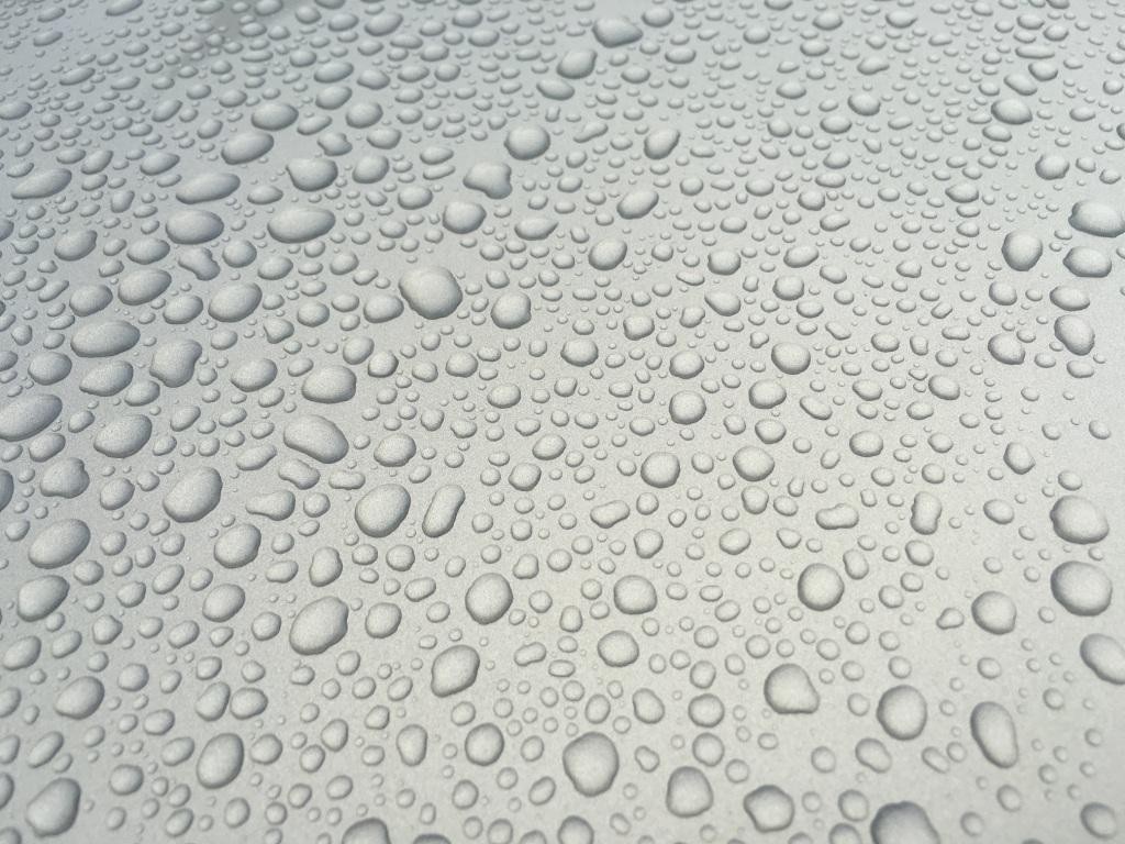 1 Day Old Opti Seal Rain 1/4/2017