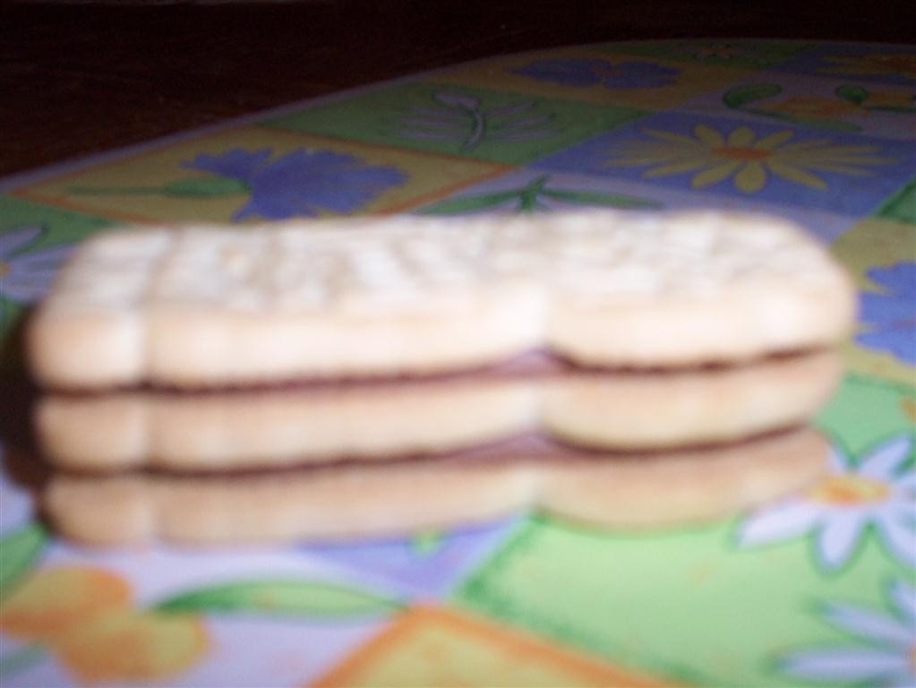 100_4357_Medium_