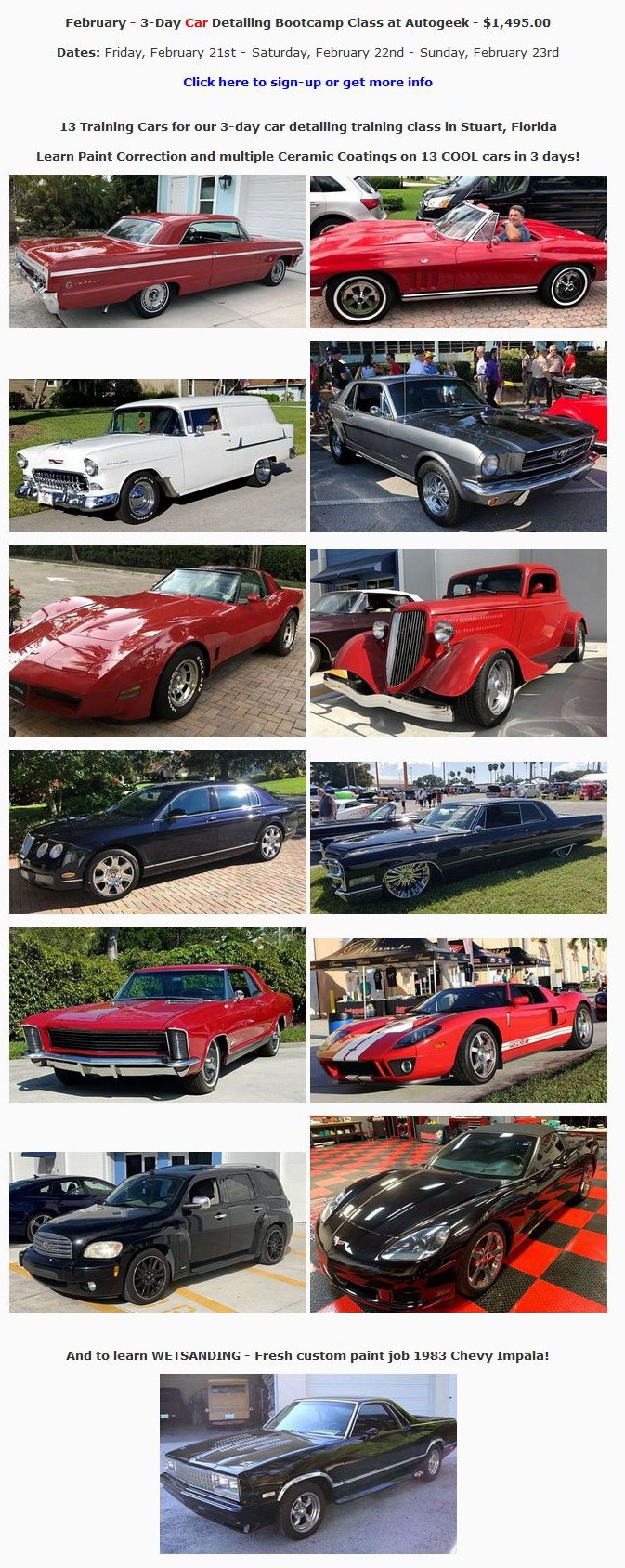 13_Cars_Mike_Phillips_Detailing_Class