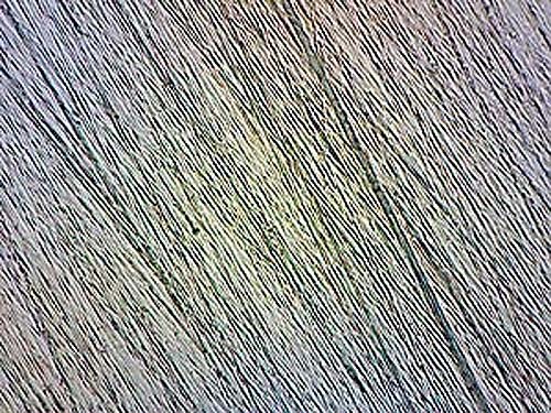 1500 grit