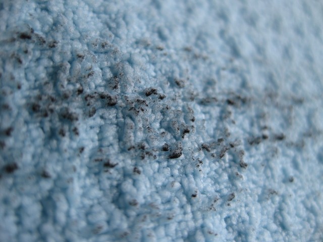 16-See_Dirty
