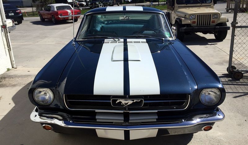 1965 Mustang Fastback detailed at Autogeek Mike Phillips