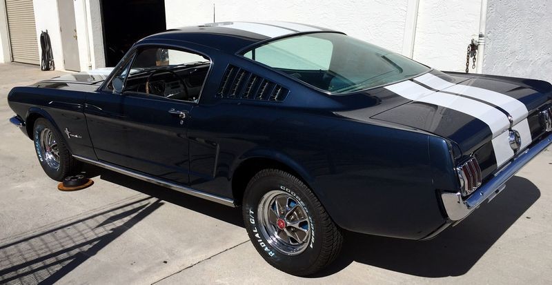 1965 Mustang Fastback detailed at Autogeek Mike Phillips