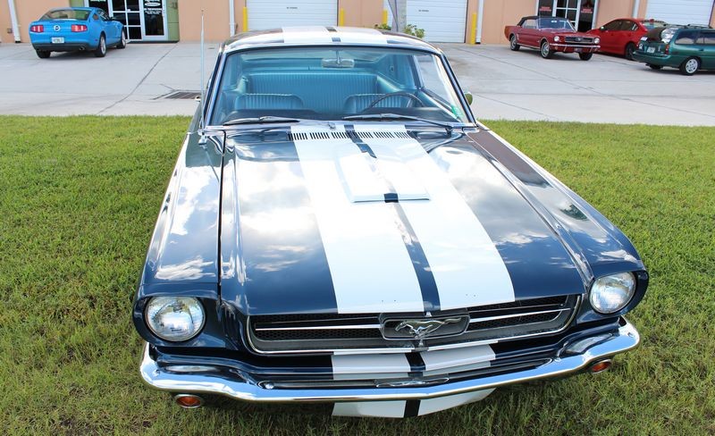 1965 Mustang Fastback detailed at Autogeek Mike Phillips