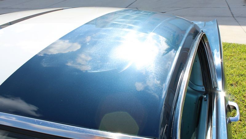 1965 Mustang Fastback detailed at Autogeek Mike Phillips