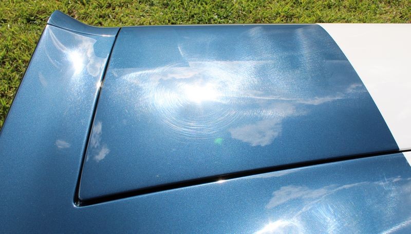 1965 Mustang Fastback detailed at Autogeek Mike Phillips