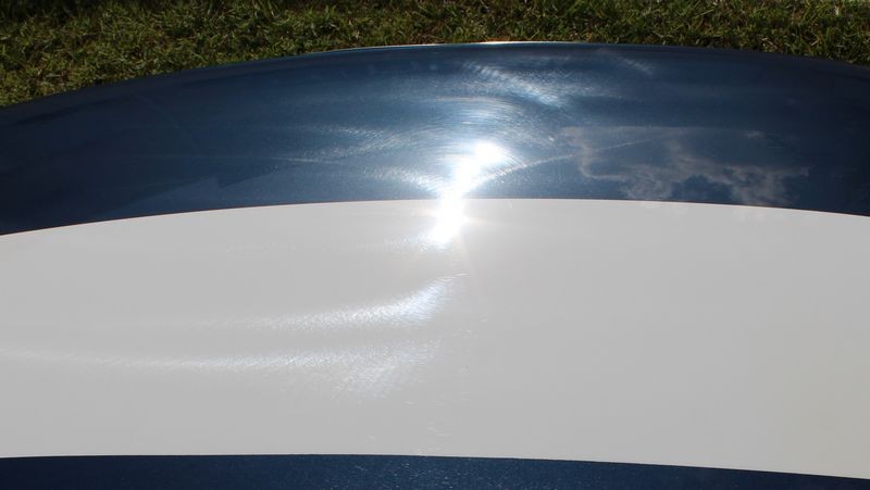 1965 Mustang Fastback detailed at Autogeek Mike Phillips