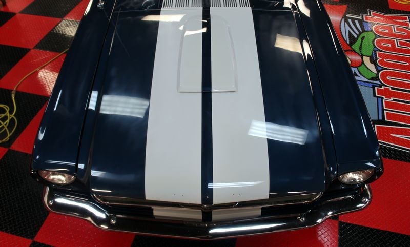 1965 Mustang Fastback detailed at Autogeek Mike Phillips