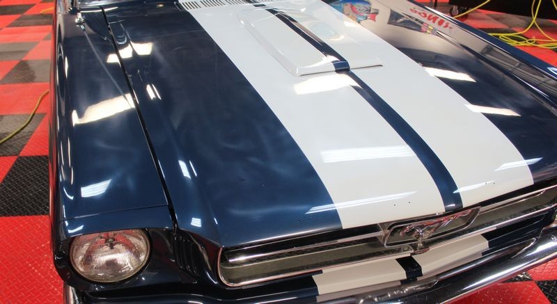 1965 Mustang Fastback detailed at Autogeek Mike Phillips